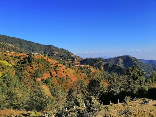 nepal nature